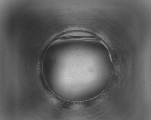 X0000076310111200610061340