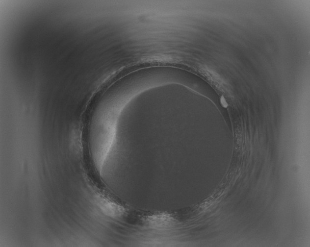 X0000076310112200610061340