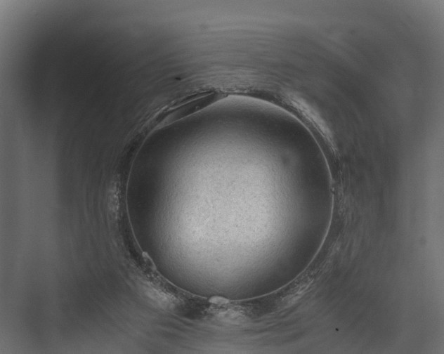 X0000076310113200610061340