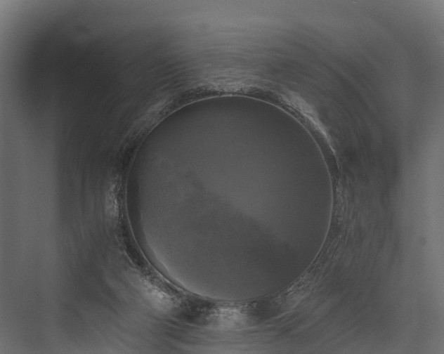 X0000076310114200610061340