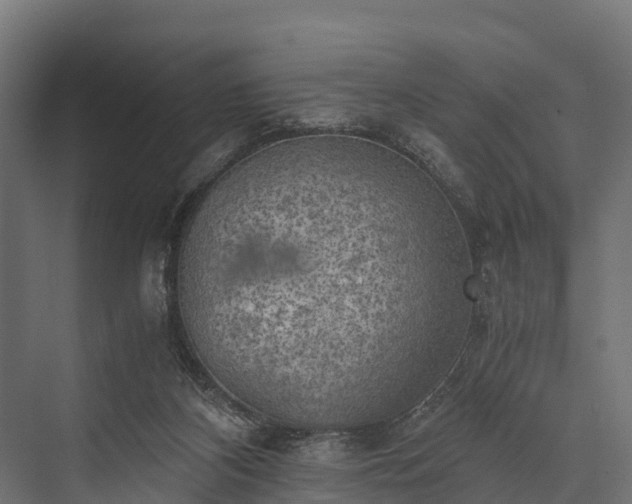 X0000076310116200610061340