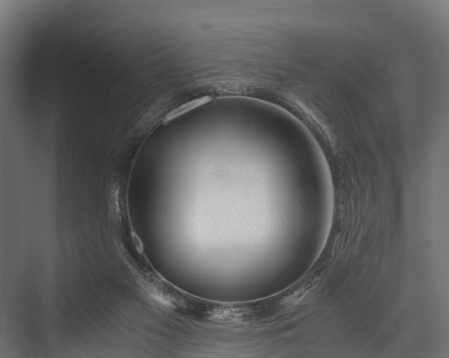 X0000076310117200610061340