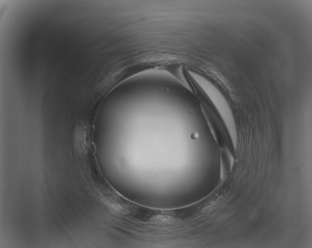 X0000076310119200610061340