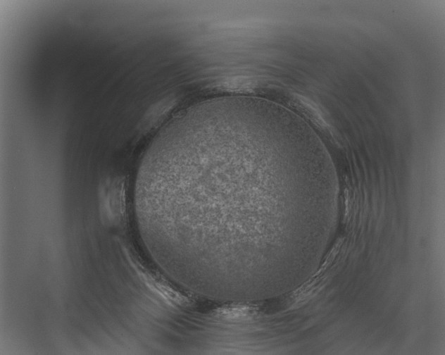 X0000076310120200610061340