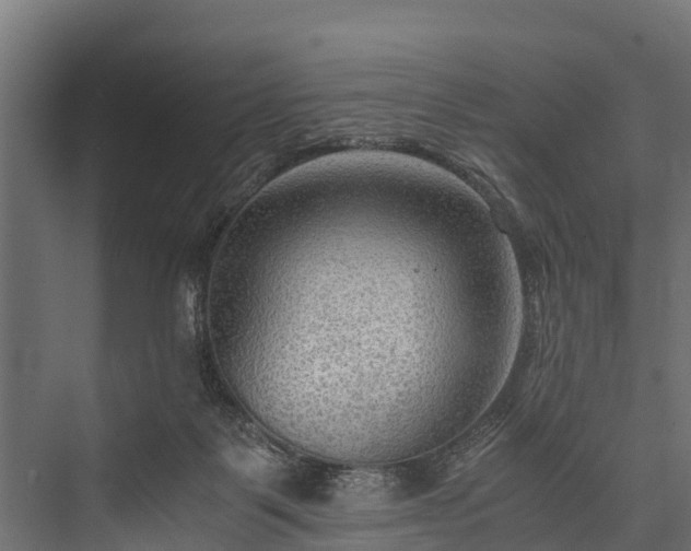 X0000076310123200610061340