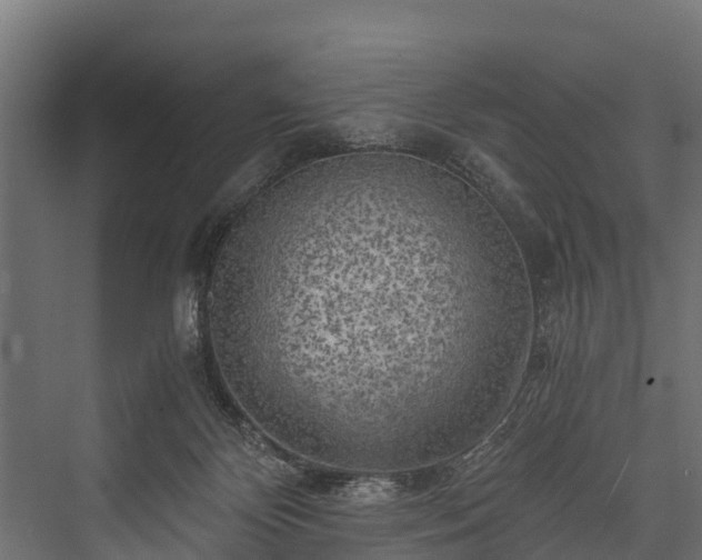 X0000076310124200610061340