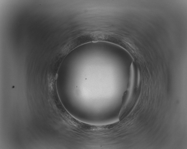 X0000076310125200610061340