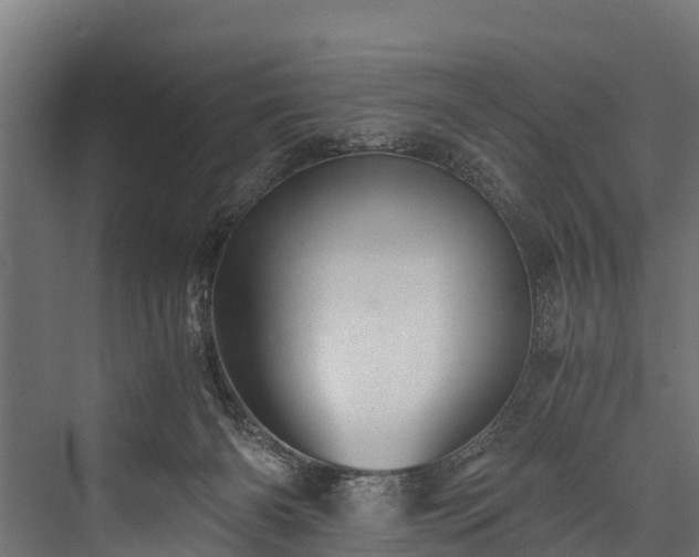 X0000076310126200610061340