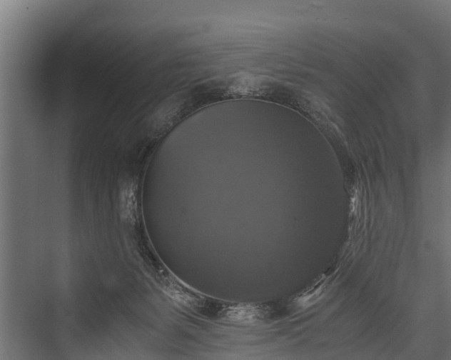 X0000076310127200610061340