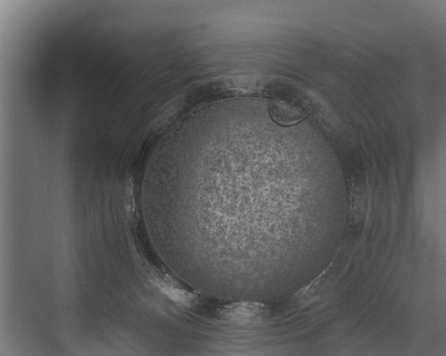 X0000076310128200610061340