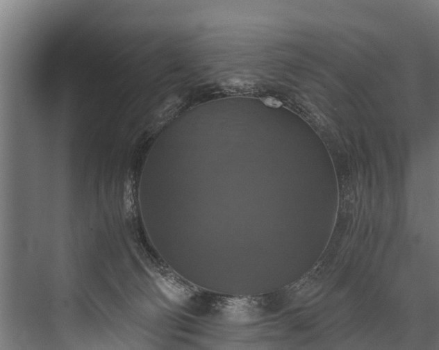 X0000076310130200610061340