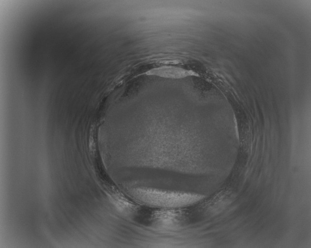 X0000076310131200610061340