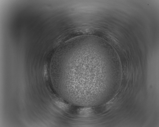 X0000076310132200610061340