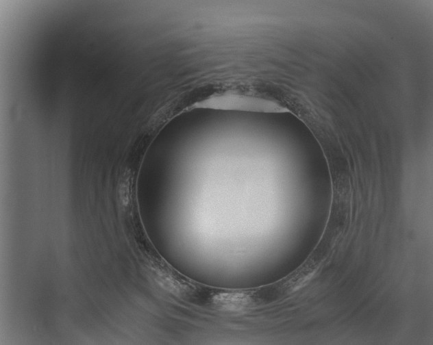 X0000076310133200610061340