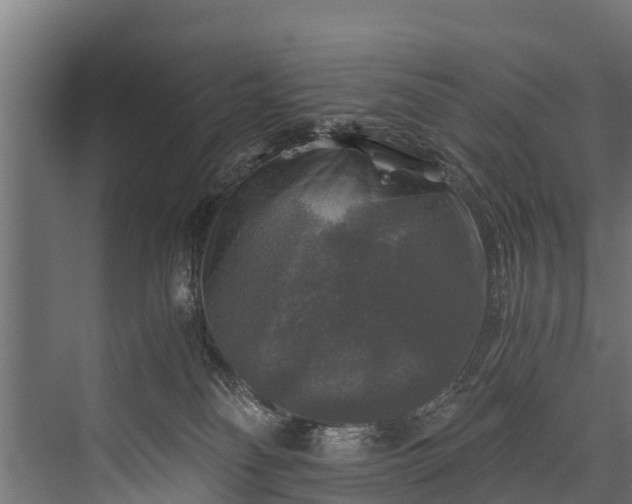 X0000076310134200610061340