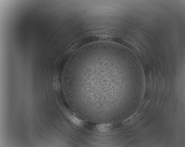 X0000076310136200610061340