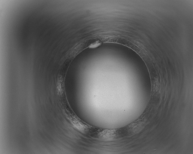 X0000076310138200610061340