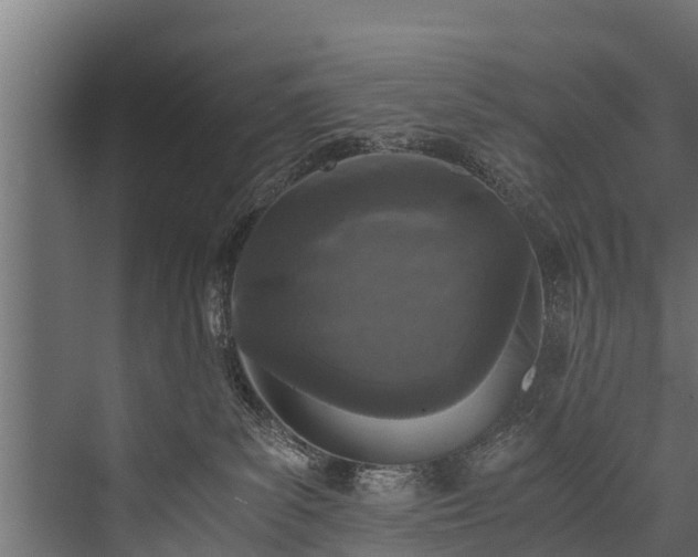 X0000076310139200610061340