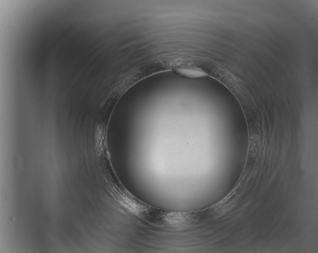 X0000076310142200610061340