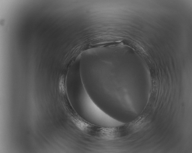 X0000076310143200610061340