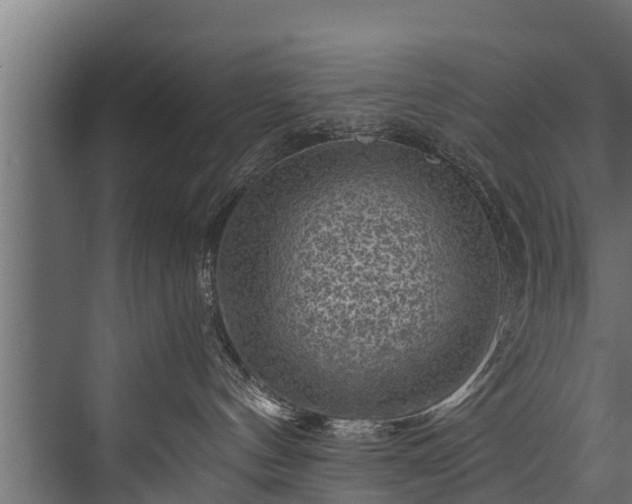 X0000076310144200610061340