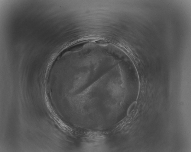 X0000076310145200610061339