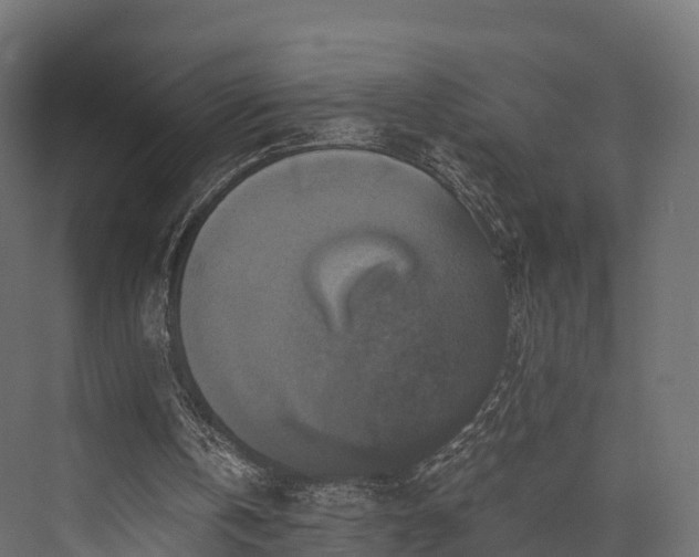 X0000076310146200610061339