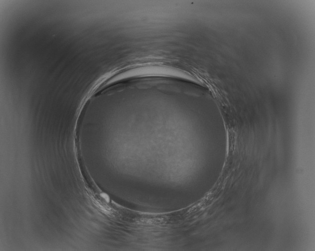 X0000076310147200610061339