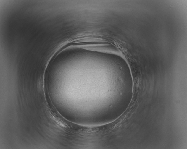 X0000076310148200610061339