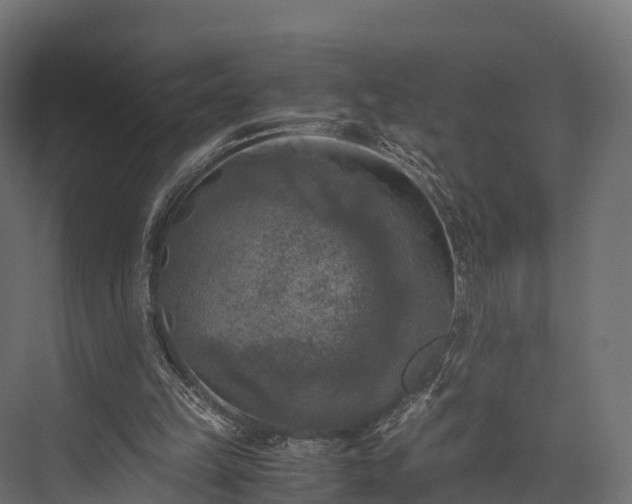 X0000076310149200610061339