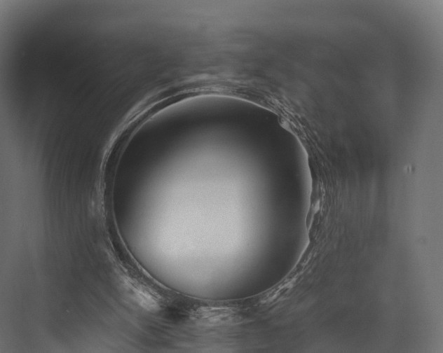 X0000076310150200610061339