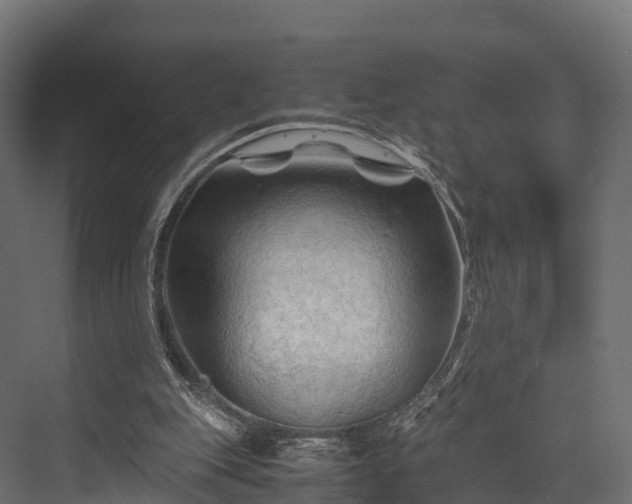 X0000076310151200610061339