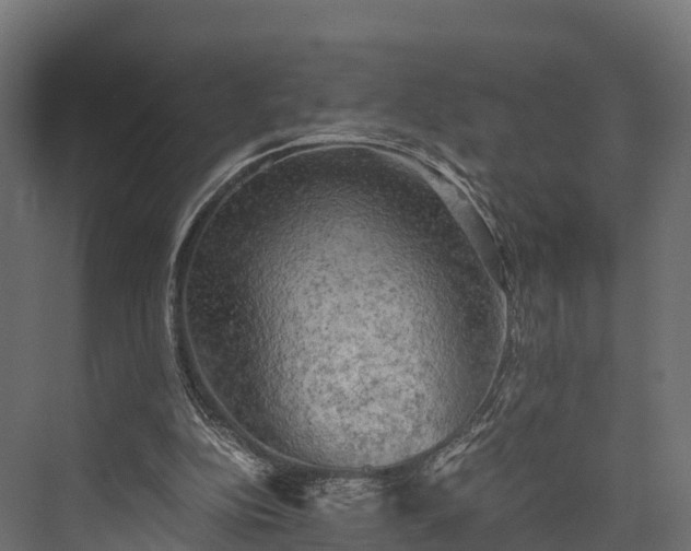 X0000076310152200610061339