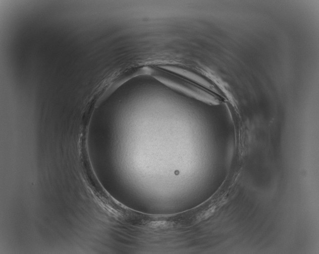 X0000076310153200610061339