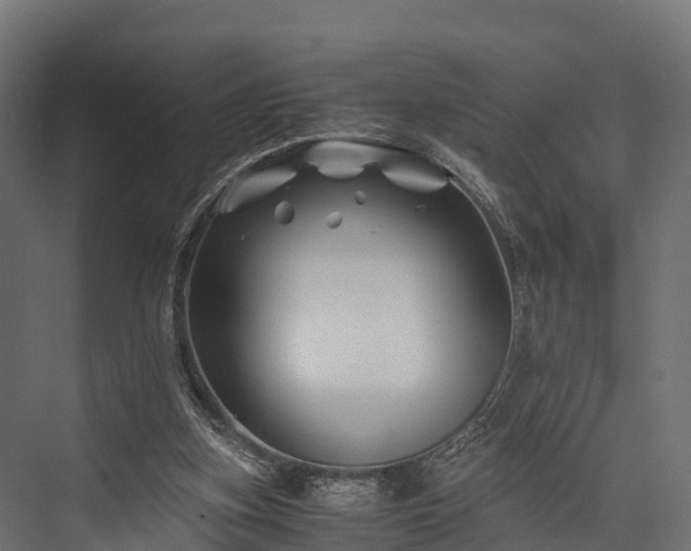 X0000076310155200610061339