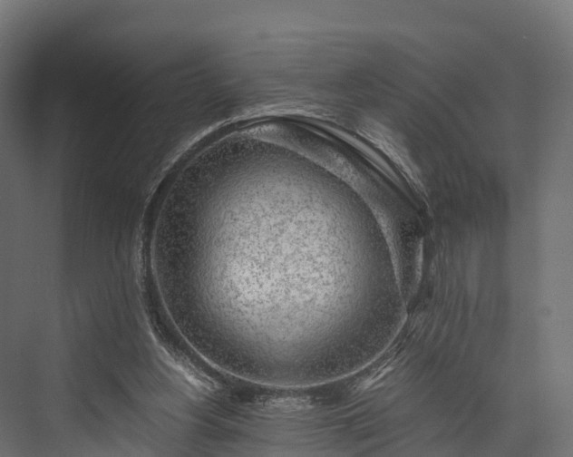 X0000076310156200610061339