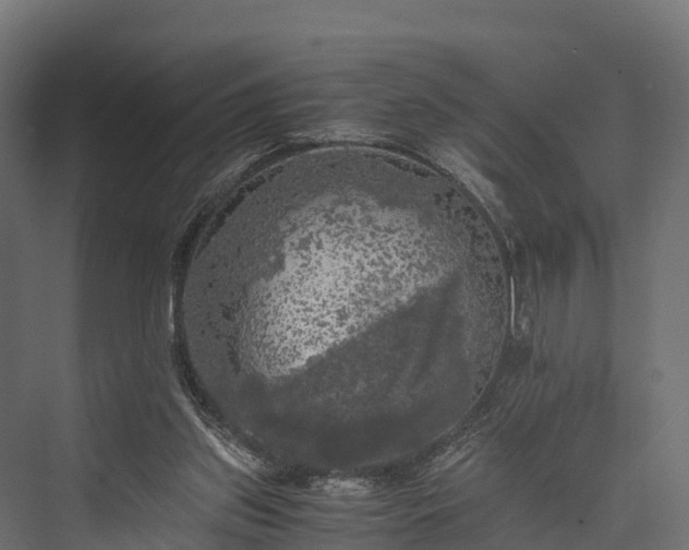 X0000076310157200610061339