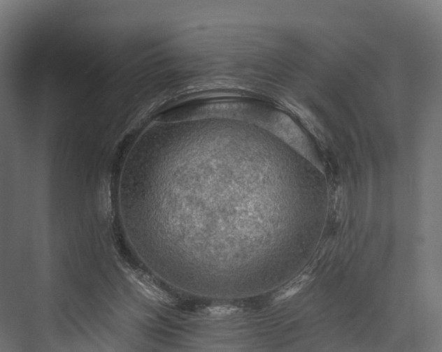 X0000076310158200610061339