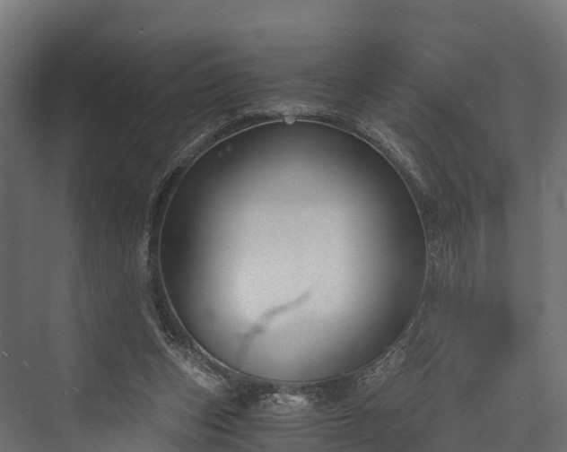 X0000076310159200610061339