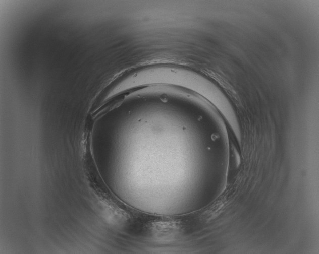 X0000076310160200610061339