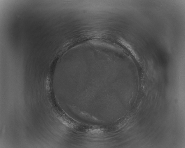 X0000076310161200610061339