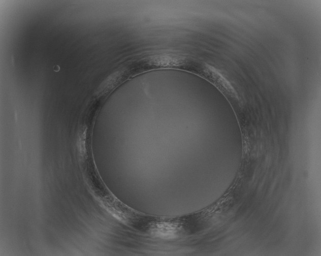 X0000076310163200610061339