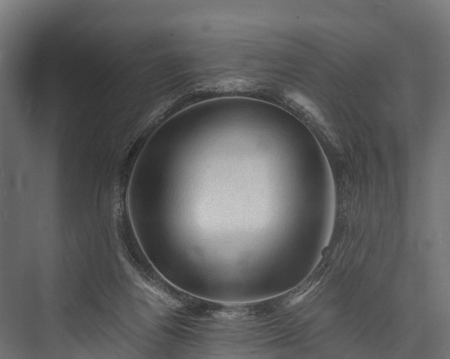 X0000076310164200610061339