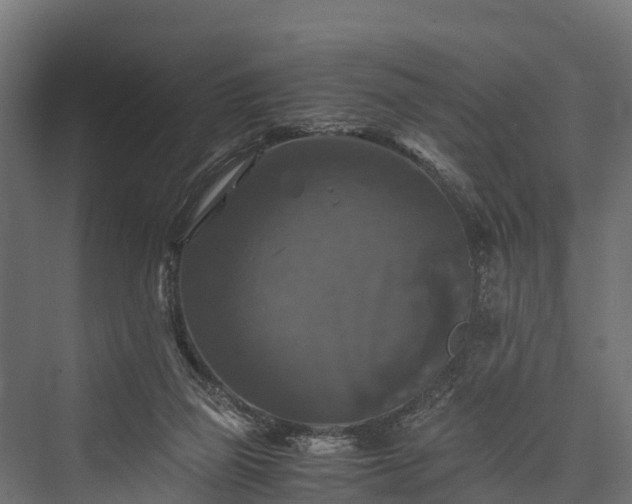 X0000076310165200610061339