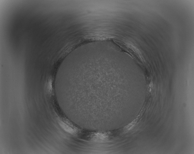 X0000076310166200610061339