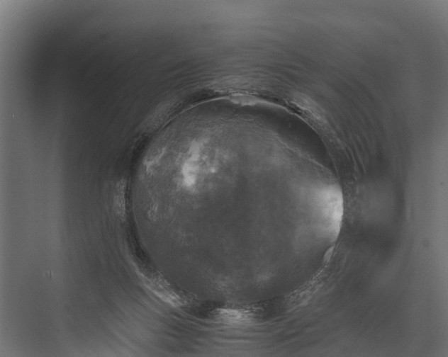 X0000076310167200610061339