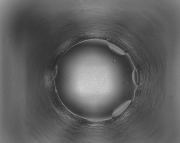 X0000076310168200610061339