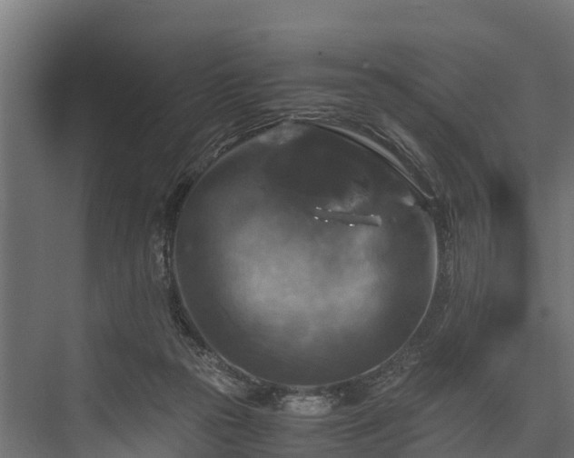 X0000076310169200610061339