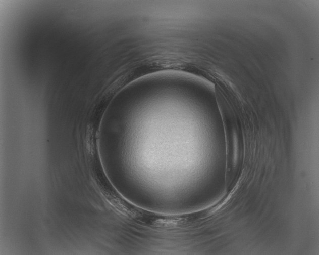 X0000076310170200610061339