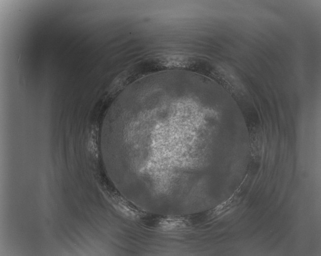 X0000076310175200610061339